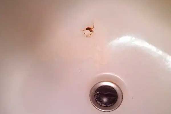 Ремонт сквозных пробоин